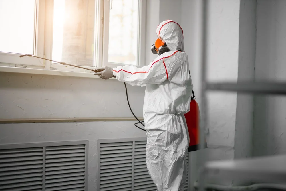 Professional mold remediation services in Andover, NJ